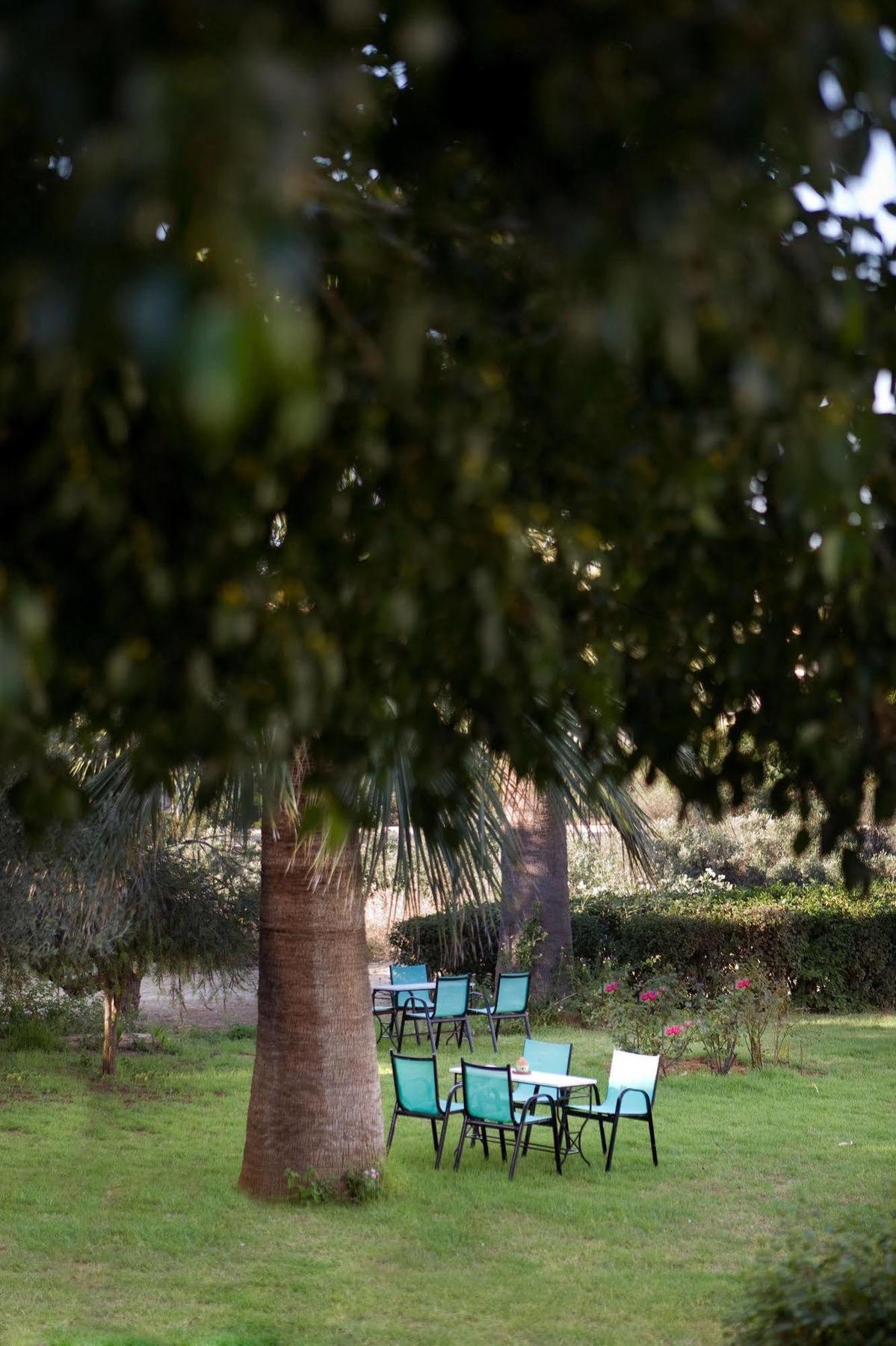 Life * Agia Marina